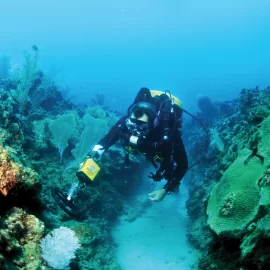 metal detector subacqueo sea hunter