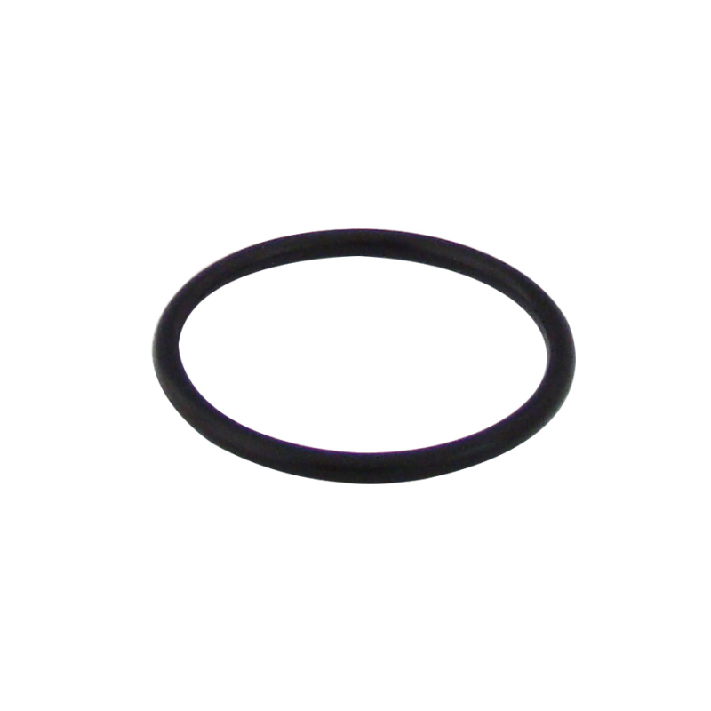 O-RING BATTERY COMPARTMENT CAP