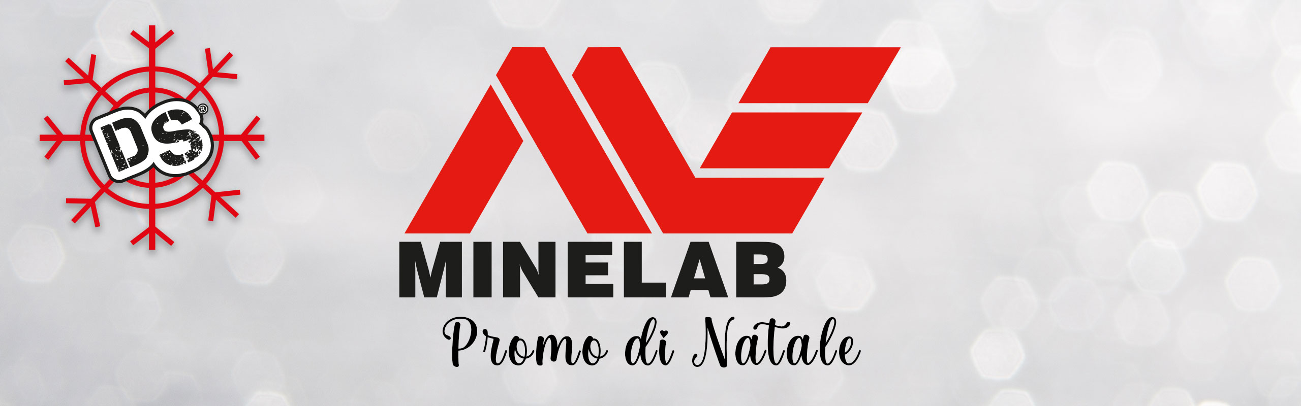 Promo Minelab