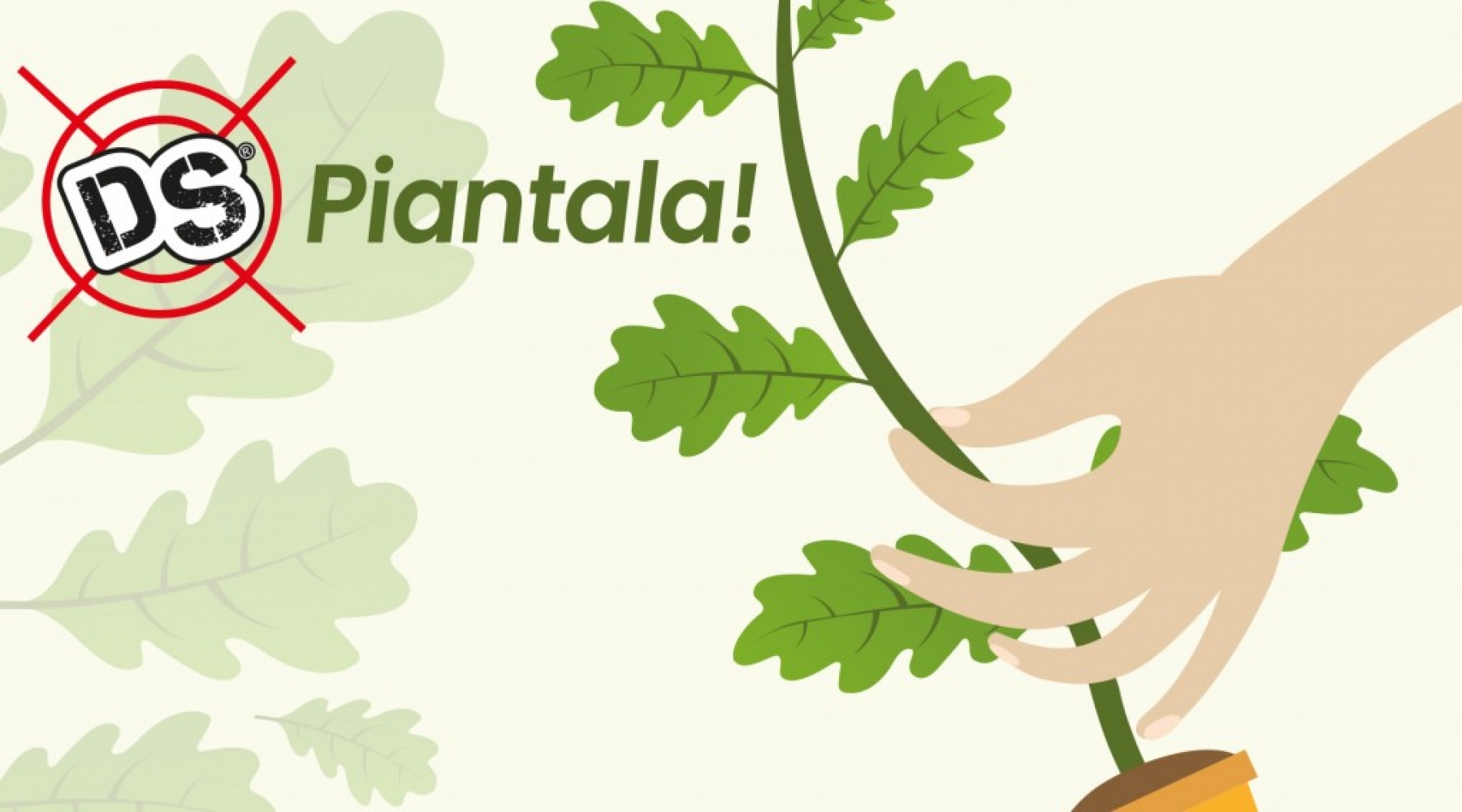 Plant it! An Oak tree in defense of sustainability